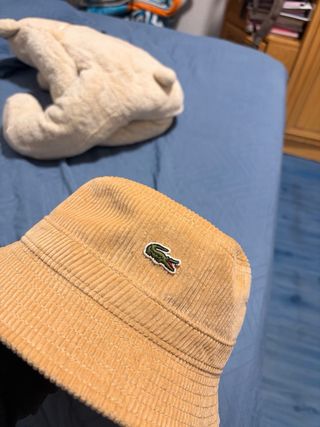 Gorro bucket Lacoste beige corduroy