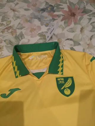 Camiseta Norwich Joma Talla M (equivale a S)