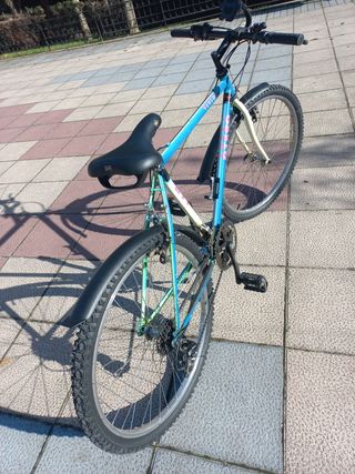 Bicicleta de montaña azul
