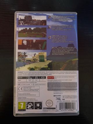 Minecraft Nintendo Switch
