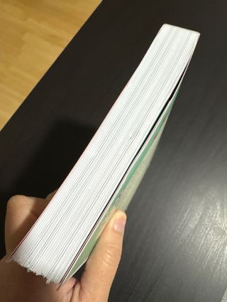 Un amor de diciembre: Una novela de adviento