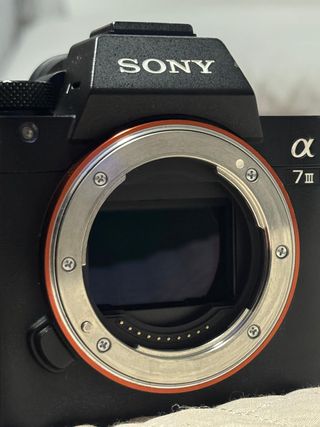 Sony A7III + Tamron 28-75 f/2.8 + Cage SmallRig