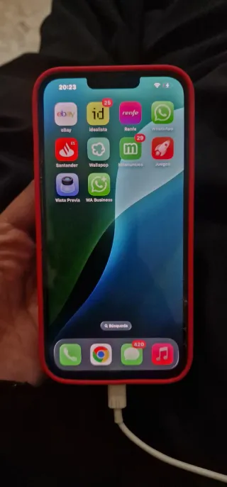 iPhone 13 Pro Max Grigio/Argento