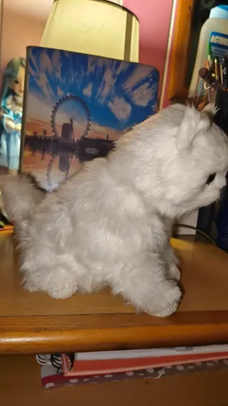 Peluche gato.