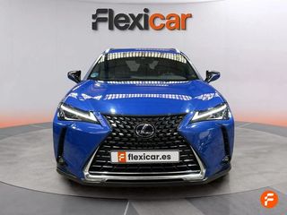 Lexus UX 2.0 250h Business