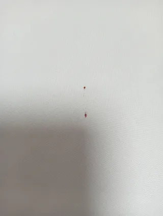 Camiseta Fútbol camisola futebol Portugal M