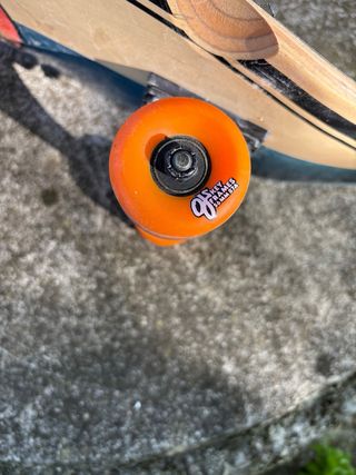 Skateboard Cruiser Santa Cruz