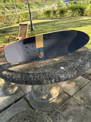 Skateboard Cruiser Santa Cruz