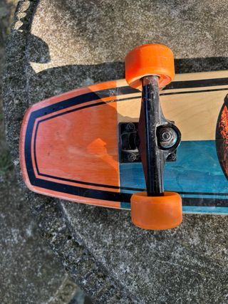 Skateboard Cruiser Santa Cruz