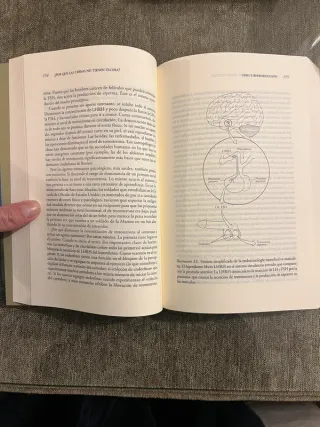 ¿Por qué las cebras no tienen úlcera?: La guía ...