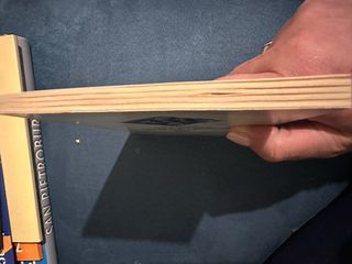 Anche le formiche nel loro piccolo s'incazzano