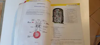 Libro L'arte del Freddo