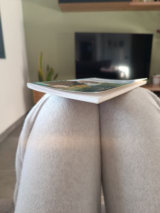 Libro frances : L'homme qui plantait des arbres