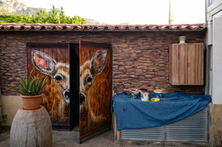 Artista Mural Graffiti Decorador