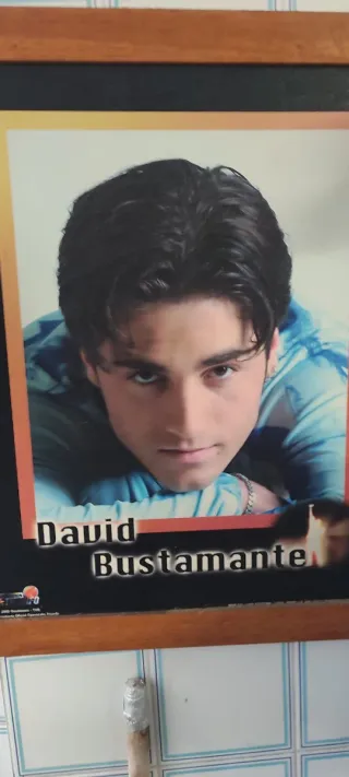 Cuadro David Bustamante