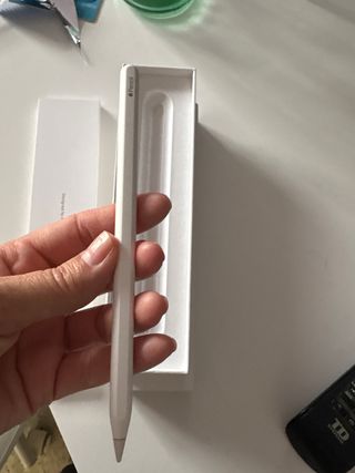 Apple Pencil 2ª Gen