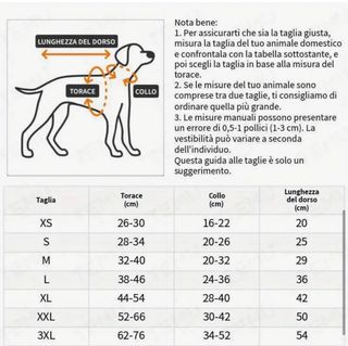 Vestitini cane renna e luci  Natale