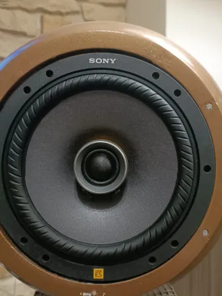 Casse audio Elipson modificate Sony hi-res