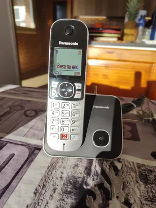 Teléfono Inalámbrico Panasonic Negro/Plata