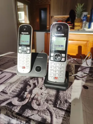 Teléfono Inalámbrico Panasonic Negro/Plata