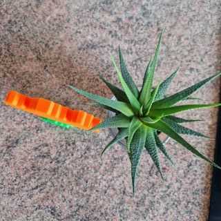 Flor Fuego Pixel Art XXL Naranja