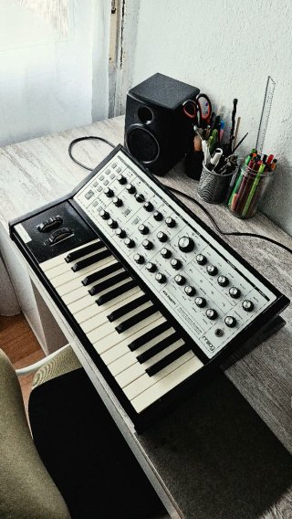 Sintetizador Moog Sub Phatty