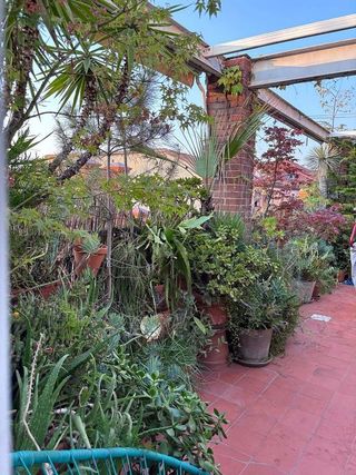 Ático en alquiler en Palacio en Madrid