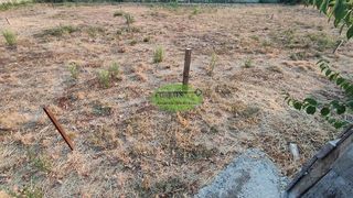 Solar en venta en San Cibrao das Viñas