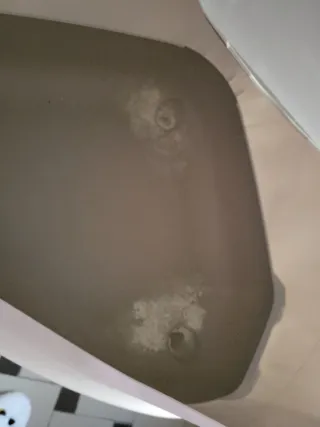 Box sabbiera per gatti con filtro