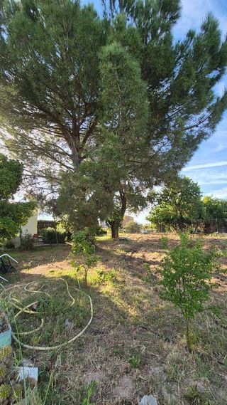Terreno en venta en Ctra de Sevilla - Ronda sur en Badajoz