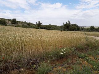 Casa rural en venta en Bornos