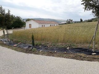 Casa rural en venta en Bornos