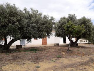 Casa rural en venta en Bornos