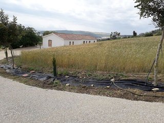 Casa rural en venta en Bornos
