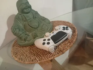 Mando PS5 personalizado  Joystick electrómagnetico