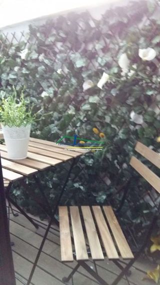 Piso en alquiler en Centro en Mérida