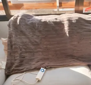 Manta Eléctrica Imetec Beige/Marrón