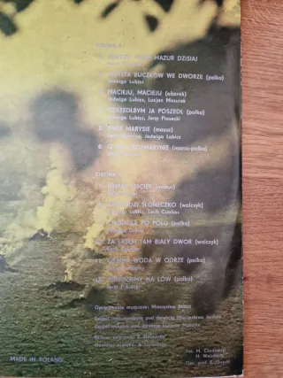 Vinilo LP Umarłe Matki - Folk