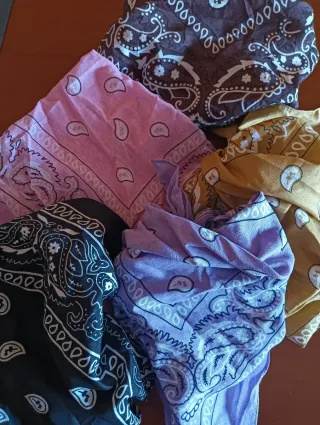 Pañuelos Bandana Paisley (5uds)