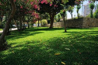 Piso en alquiler en Playa de San Juan en Alicante