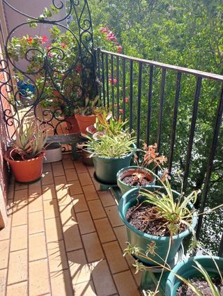 Piso en venta en Centro - Mendibil - Santiago en Irun