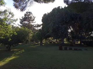 Estudio en alquiler en Elviria en Marbella