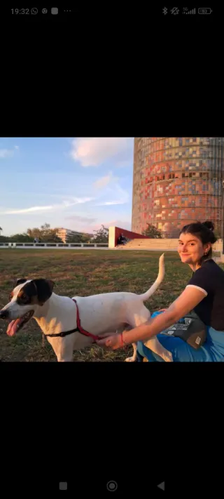 Clases particulares y canguro