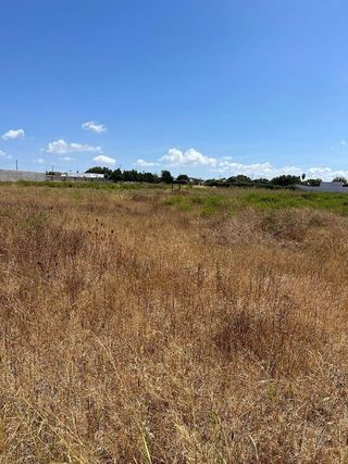 Terreno en venta en Pinar de los Franceses - Marquesado en Chiclana de la Frontera