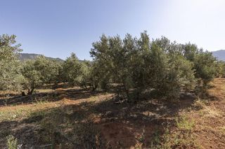 Terreno en venta en Villamena