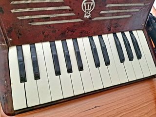 Acordeón Italia Frontalini vintage accordion