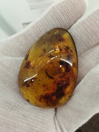 Ambra Baltica Autentica