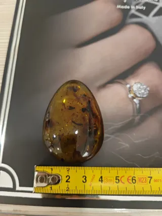 Ambra Baltica Autentica