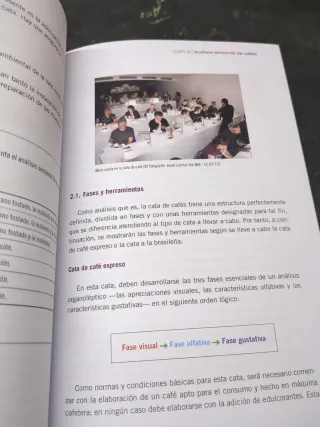 Preparación y cata de aguas, cafés e infusiones...