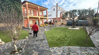 Jardinero Professional Económico